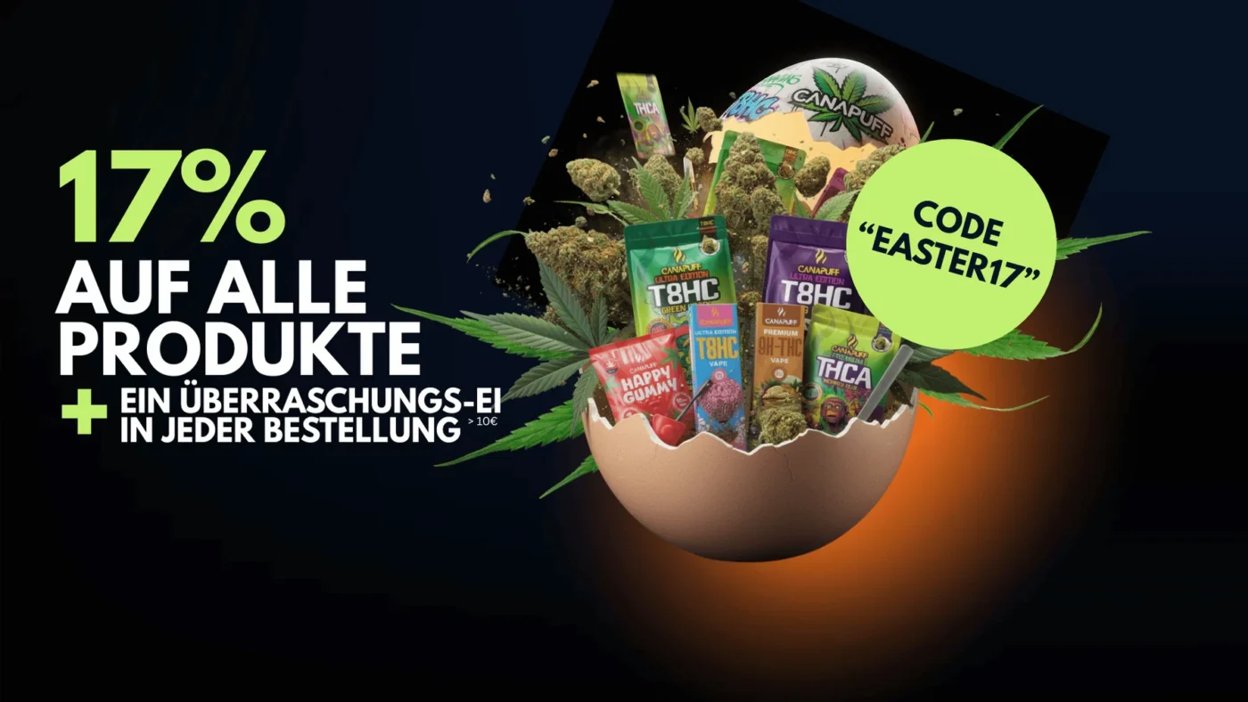 thc vape,thc vapes,thc for vapes,thc in vape,vape for thc,thc vape pen,thc liquid vape,thc vape germany,thc in vapes,vapes for thc,vape pen thc,vape thc,thc vape liquid,thc vapes deutschland,vape mit thc,thc in vape pen,thc pen vape,thc vape kaufen,thc vapes pen,vape thc pen,thc vape usa,vape thc liquid,vapes thc,thc liquid for vape,thc vape legal,thc vape pen einweg,liquid vape thc,thc vape germany legal,thc vape pen 1000mg,thc vape shop,thc vapes legal,vapes mit thc,jungle boys thc vape,thc vape berlin,thc vape deutschland legal,thc vape pen nach deutschland bestellen,thc vape preis,thc vapes germany,thc p vape,thc vape bestellen,thc vape juice,thc vapes deutschland legal,thc öl vape,thc-vapes deutschland legal,vape pen for thc,amsterdam thc vapes,packwoods thc vape,sind thc vapes legal,thc vape apotheke,thc vape deutschland,thc vape oil,thc vapes kaufen,thc-p vape,delta 9 thc vape,thc a vape,thc oil vape,thc vape kaufen legal,thc vape liquid germany,thc vape pen 1000mg deutschland,thc vape wirkung,thc vapes apotheke,thc vapes switzerland,vape juice thc,hold thc vape,thc vape pen einweg kaufen,thc vape shop berlin,thc vapes holland,thc vapes italy,thc öl vape kaufen,10 oh thc vape,ace vapes thc,buy thc vapes,canapuff thc vape,cannabis vape thc,cannabis vapes thc,cookies thc vapes,jungle boys vape thc,thc einweg vape,cannabis club , cannabis club thc juice for vape,thc vape erfahrungen,thc vape holland,thc vape medizinisch,thc vapes bestellen,thc vapes spain,vape pen thc-öl,10 of thc vape,10-oh-thc vape,10-oh-thc vapes,90 thc vape pen kaufen,cookie thc vapes,cookies thc vape,gibt es thc vapes,liv thc vape,pack man vape thc,packman thc vape,thc extrakt vape,thc liquid vape kaufen,thc oil for vape,thc oil for vapes,thc oil in vape , packman,disposable , weed vape , marihuana vape , nordleaf , weed vape , thc gummibärchen , edibles , thc liquids , canapuff , joint , hash , edible edible ,