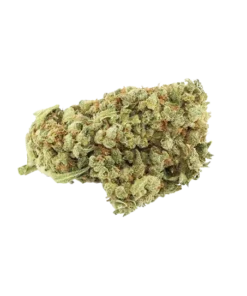 Jack Herer Strain​
