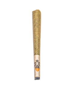 HASH PRE ROLLS Germany
