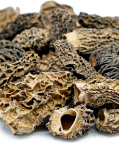 MOREL DRIED MUSHROOM Germany