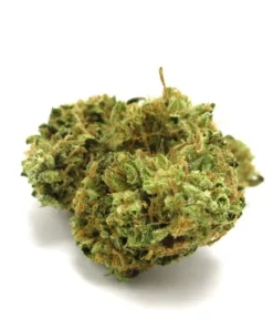 Afgoo Marijuana Strain Germany