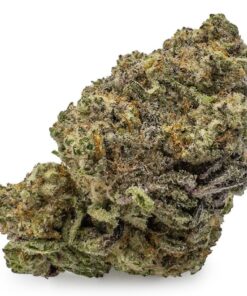 Animal Cookies Cannabis Strain Germany