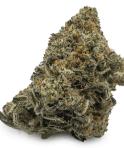 Biscotti Marijuana Strain Germany