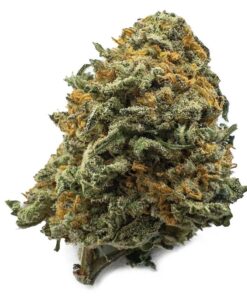 Black Cherry Gelato Weed Germany