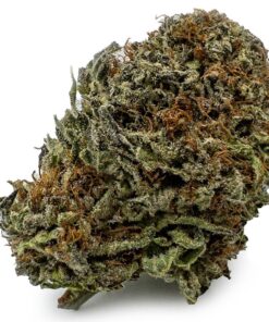 Black Diamond Weed Strain Germany