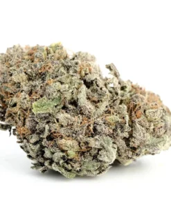 Blackwater Cannabis Strain Germany