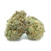 Blue Coma Strain Cannabis Germany