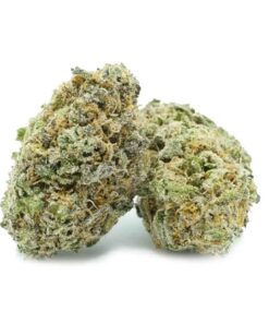 Blue Coma Strain Cannabis Germany