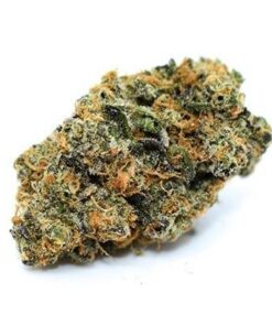 Blue J Marijuana Strain Germany