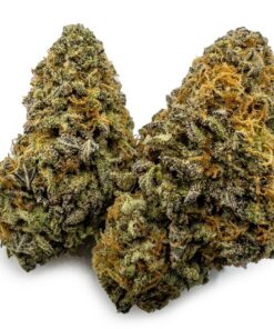 Blueberry Cheesecake Weed Germany