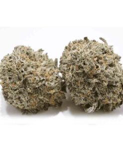 Blueberry Skunk Weed Strain Germany