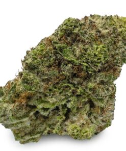 Buy Tropicana Cookies Strain Germany