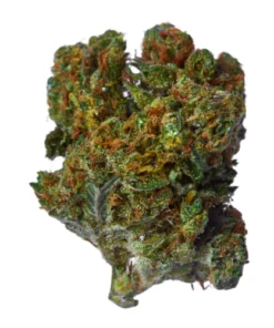 Death Star Marijuana Strain Germany