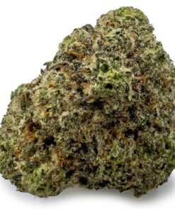 Donkey Breath Weed Strain Germany