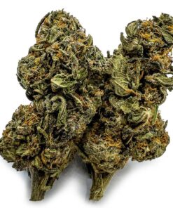 Double Dream Cannabis Strain Germany