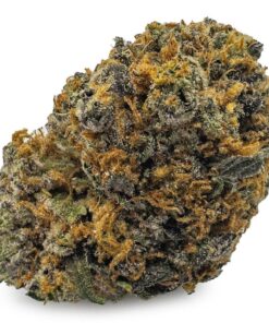 Forbidden Fruit Weed Strain Germany
