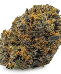 Forbidden Fruit Weed Strain Germany