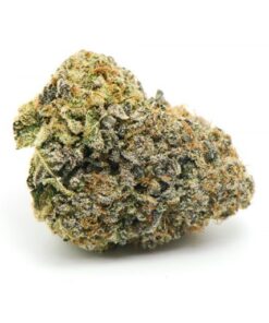 Forbidden Runtz Cannabis Strain Germany