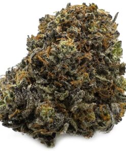 Funky Charms Cannabis Strain Germany