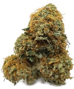 Gelato Runtz Weed Strain Germany