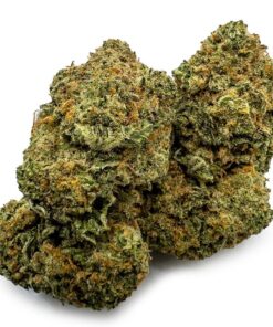 Girl Scout Cookies Weed Germany
