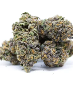 God’s Gift Marijuana Strain Germany