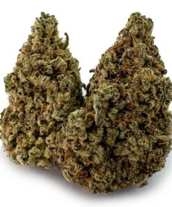 Gummy Bears Weed Strain Germany
