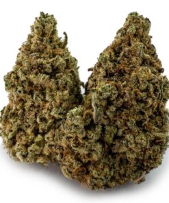 Gummy Bears Weed Strain Germany