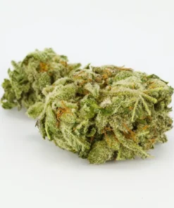 Hindu Kush Weed Strain Germany