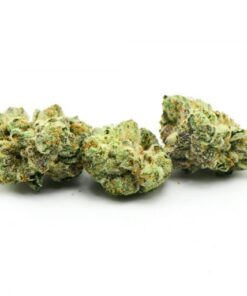 Bruce Banner Weed Strain Germany