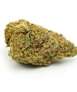 Lamb’s Bread Weed Strain Germany