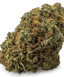 Lemon Sour Diesel Sativa Germany