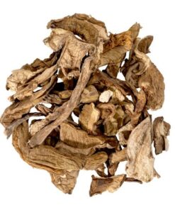 SHIITAKE DRIED MUSHROOM Germany