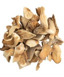 OYSTER DRIED MUSHROOM Germany