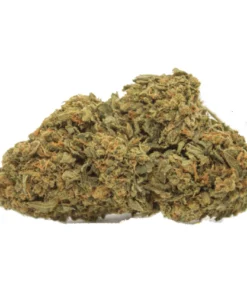 Middlefork x Pineapple Express Germany