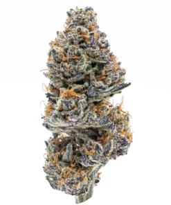 Northern Lights Weed Strain Germany