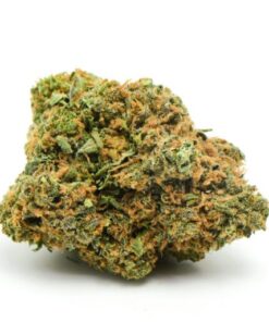 Nuken Marijuana Strain Germany
