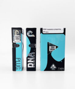 PLUG AND PLAY VAPE Germany