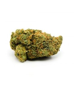Pomelo Skunk Weed Germany