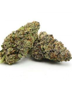 Purple Alien Kush Marijuana Strain Germany