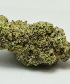 Purple MAC Cannabis Strain Germany