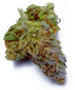 Purple Punch Weed Strain Germany