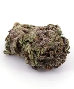 Purple Urkle Marijuana Strain Germany