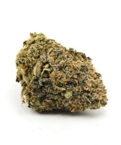Purple White Lightning Weed Germany
