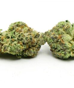Rockstar Punch Hybrid Marijuana Germany