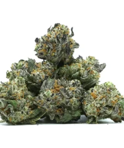 Trainwreck Popcorn Weed Germany