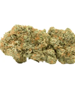 White LSD Marijuana Strain Germany