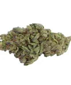 White Rhino Marijuana Strain Germany