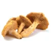 HEDGEHOG DRIED MUSHROOM Germany