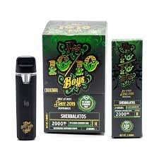EMPTY 10/10 BOYS VAPES Germany